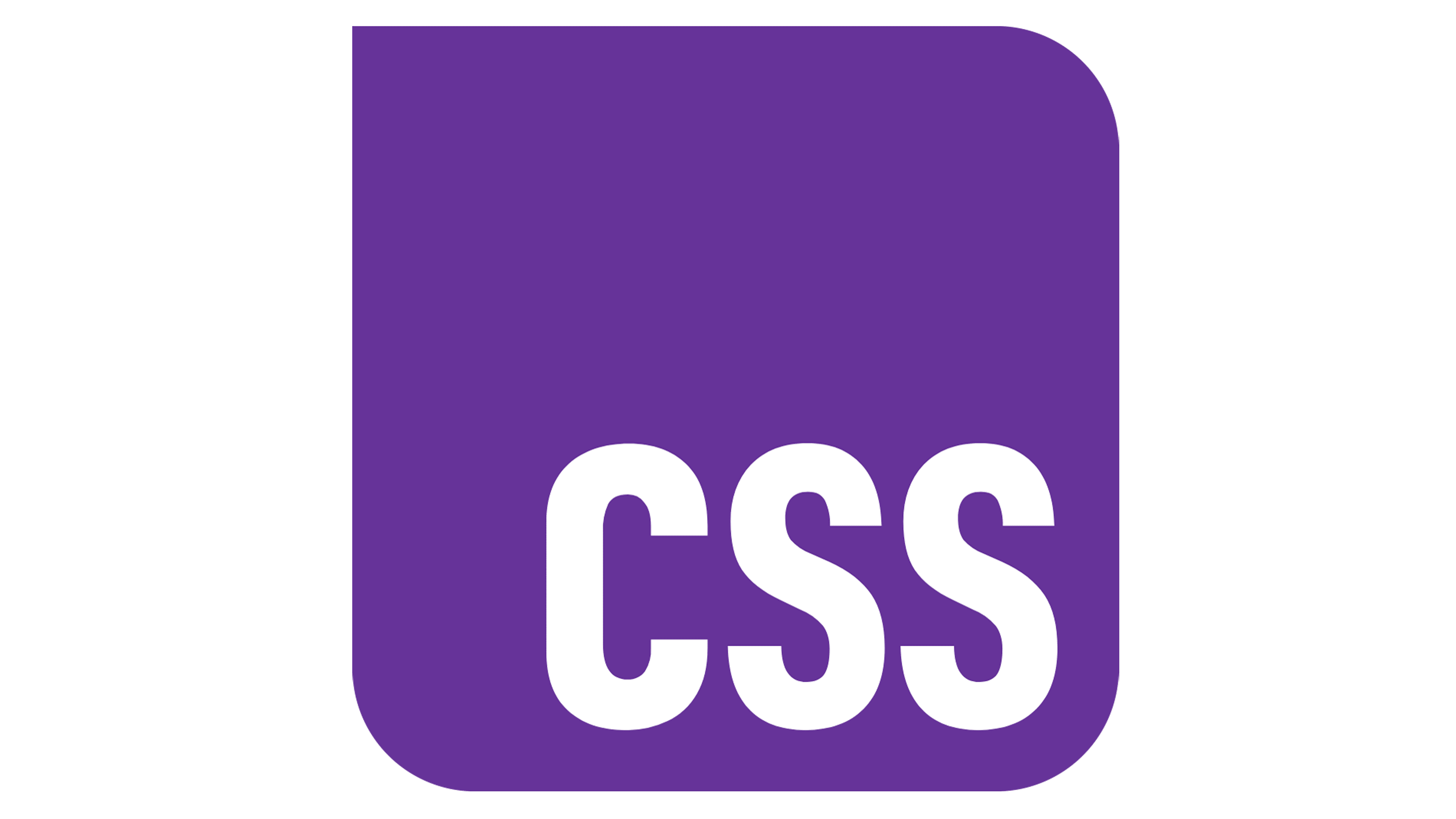 Css Logo